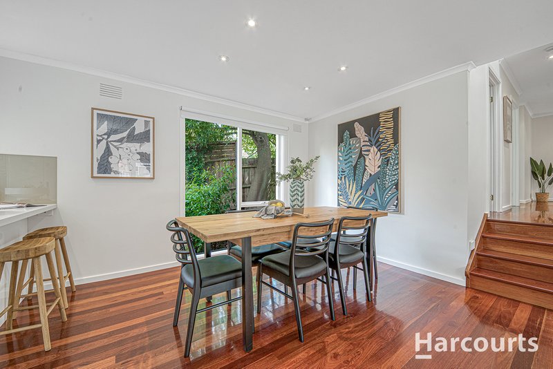 Photo - 17 Felgate Parade, Vermont South VIC 3133 - Image 6