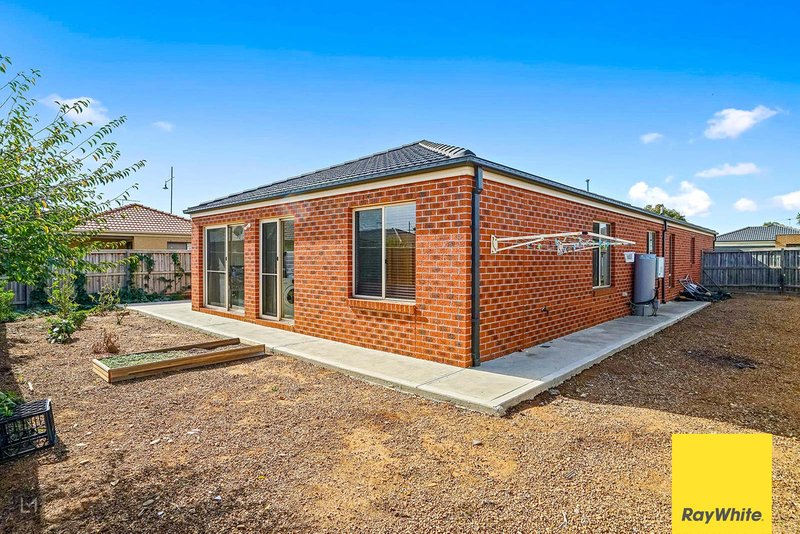 Photo - 17 Felix Way, Tarneit VIC 3029 - Image 13