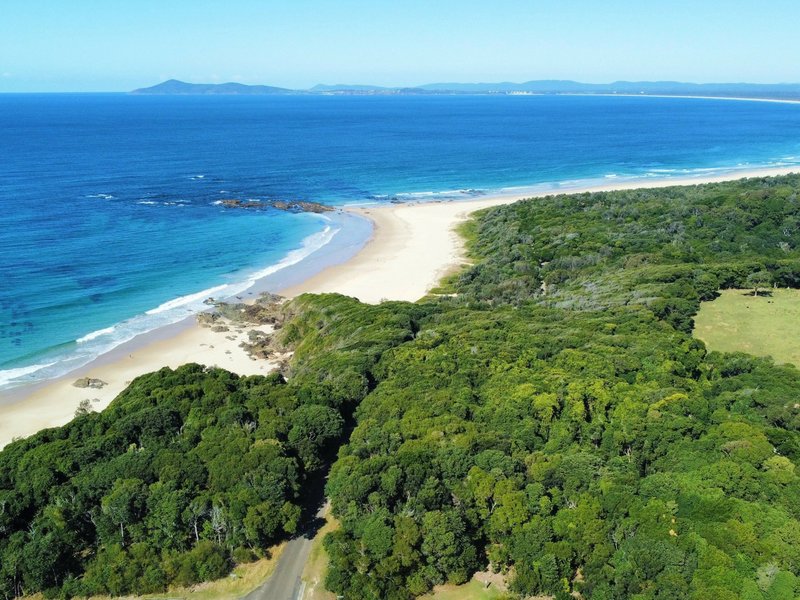 Photo - 17 Figtree Drive, Diamond Beach NSW 2430 - Image 20