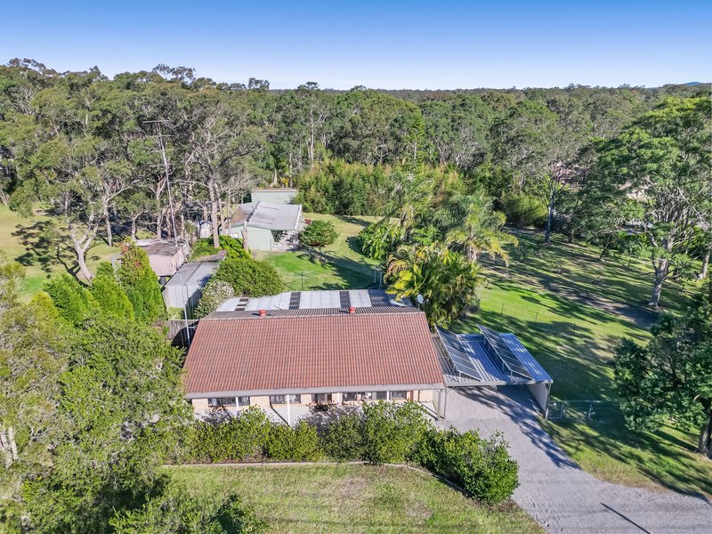 Photo - 17 Fisher Road, Medowie NSW 2318 - Image 17