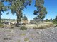 Photo - 17 Fleet Avenue, Jordan Springs NSW 2747 - Image 12