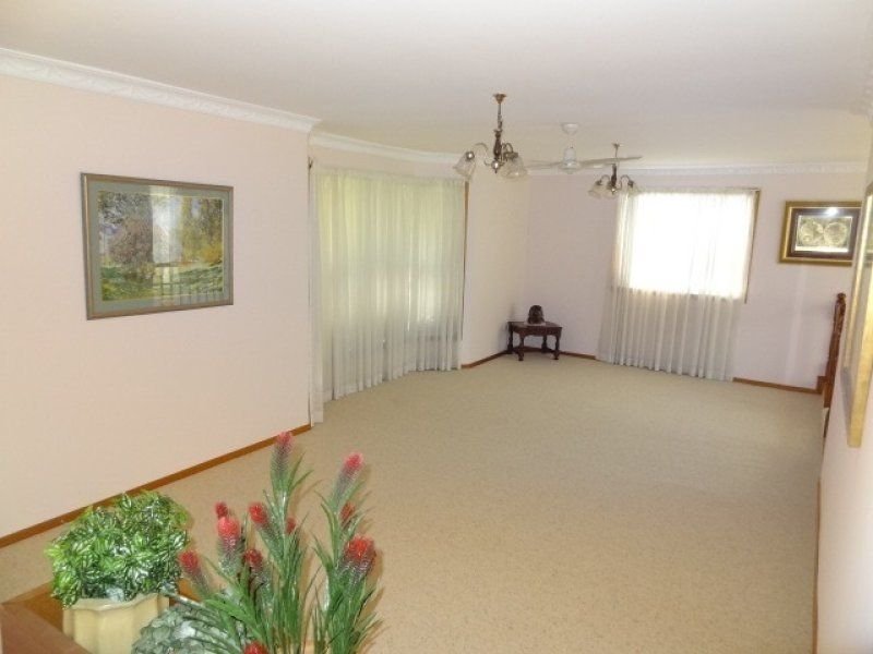 Photo - 17 Fooks Street, Carindale QLD 4152 - Image 3