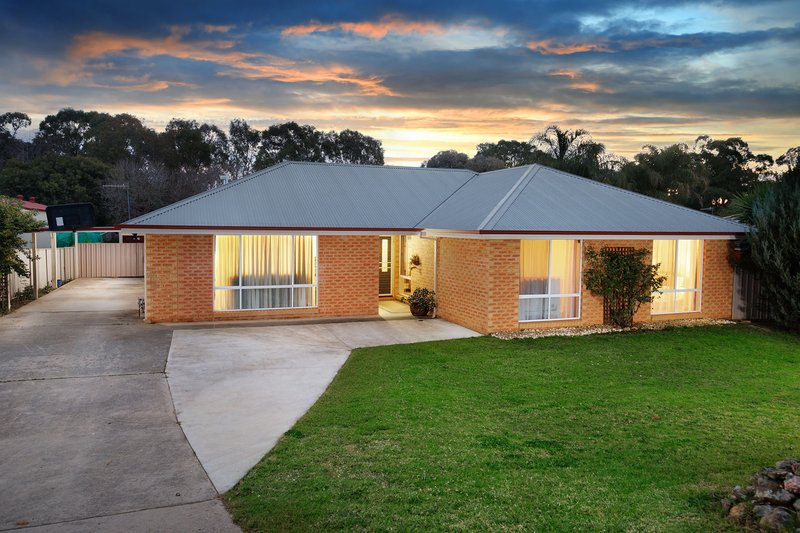 Photo - 17 Foxglove Terrace, Baranduda VIC 3691 - Image 2
