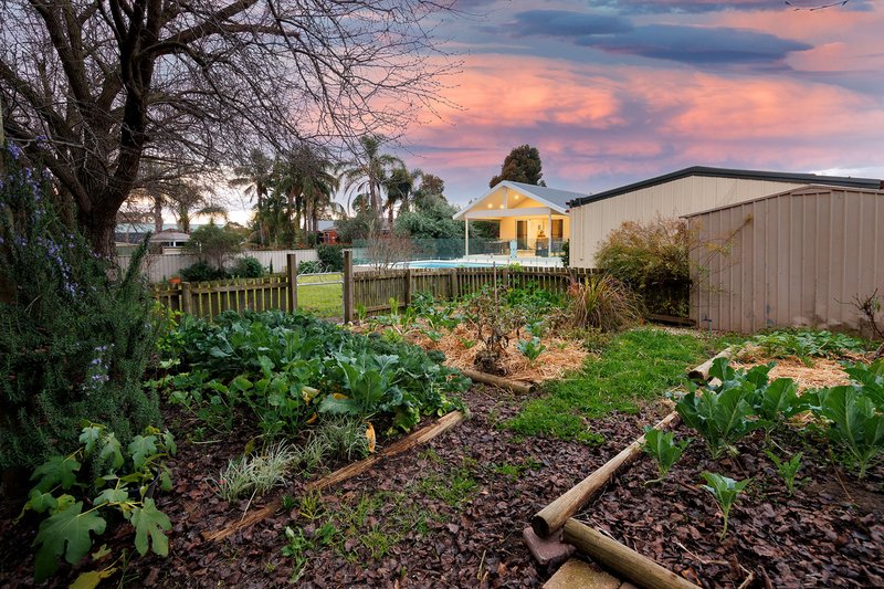 Photo - 17 Foxglove Terrace, Baranduda VIC 3691 - Image 19