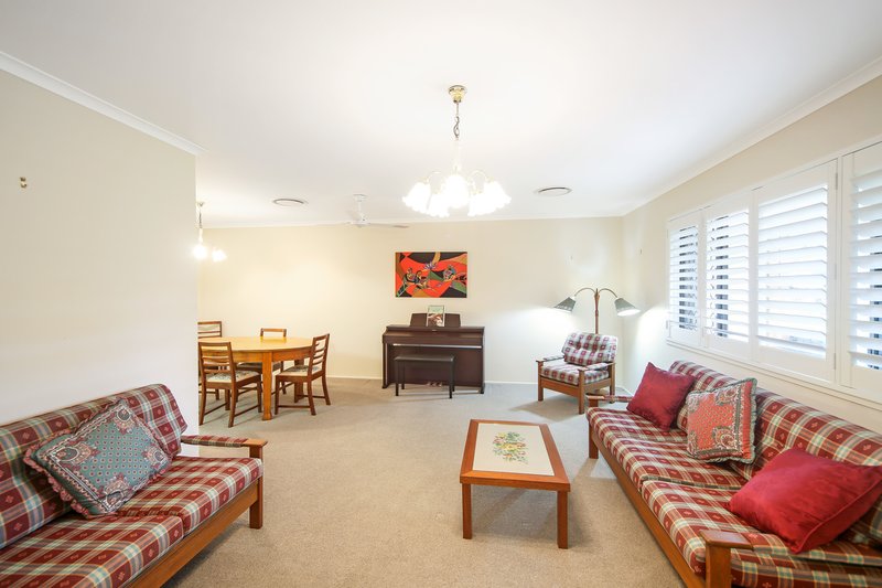 Photo - 17 Gibson Street, Buderim QLD 4556 - Image 5