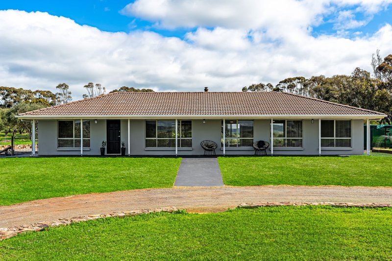 Photo - 17 Glynn Street, Riverton SA 5412 - Image 4