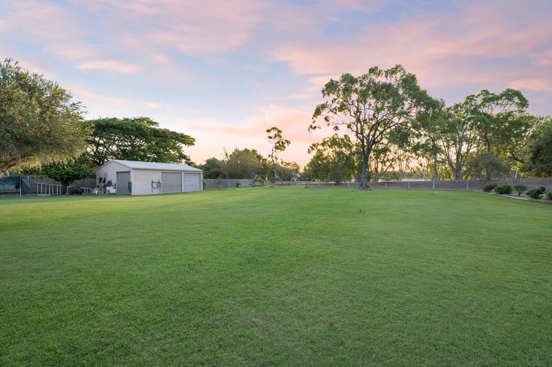 Photo - 17 Golf Links Drive, Kirwan QLD 4817 - Image 15