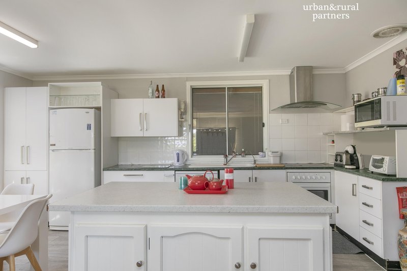 Photo - 17 Gouge Street, Morgan SA 5320 - Image 4