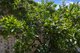 Photo - 17 Gouge Street, Morgan SA 5320 - Image 10