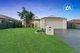 Photo - 17 Grasswren Close, Langwarrin VIC 3910 - Image 1