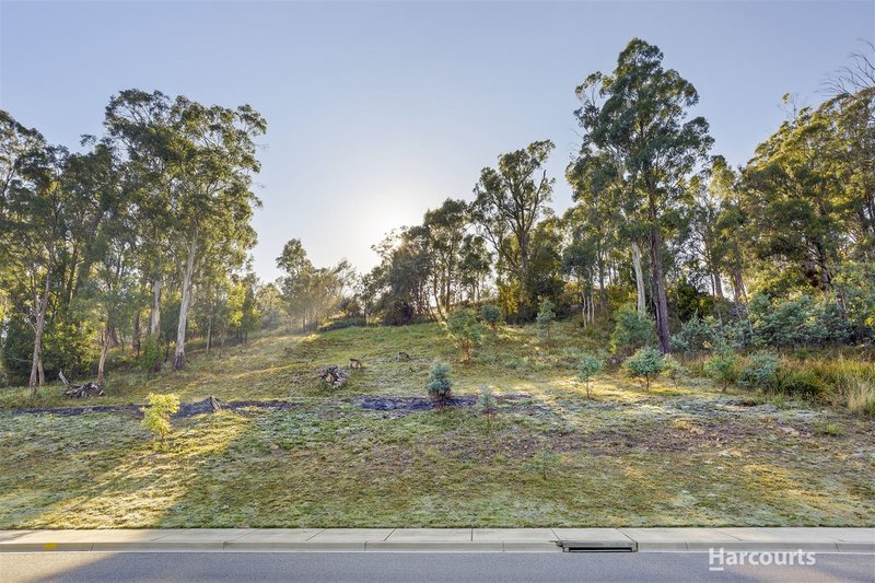 Photo - 17 Greenfield Drive, Riverside TAS 7250 - Image 5