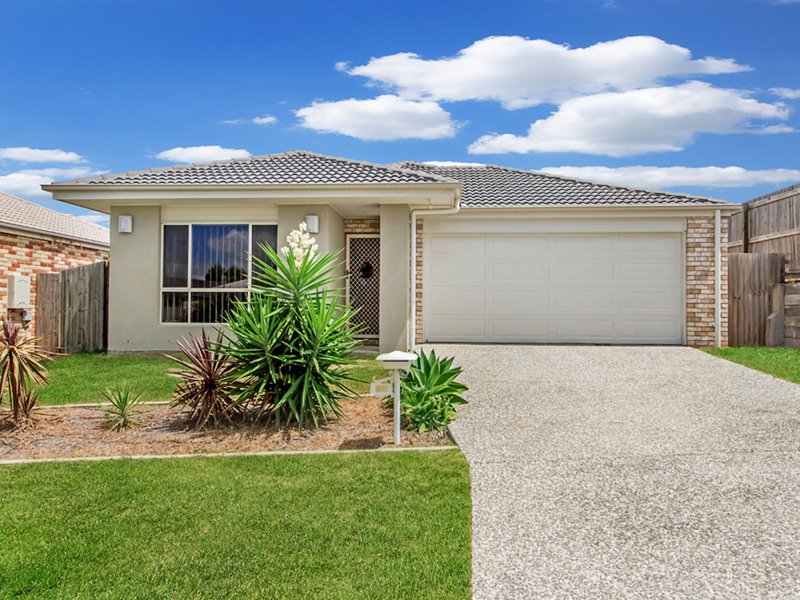 17 Hasemann Crescent, Upper Coomera QLD 4209