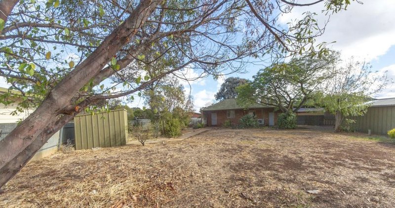 Photo - 17 Hayles Road, Elizabeth Park SA 5113 - Image 13