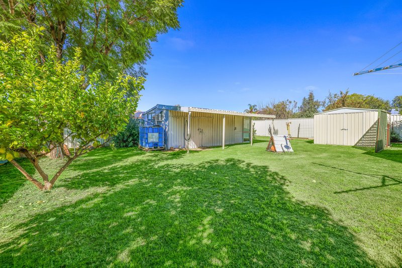 Photo - 17 Hillvue Road, Tamworth NSW 2340 - Image 7