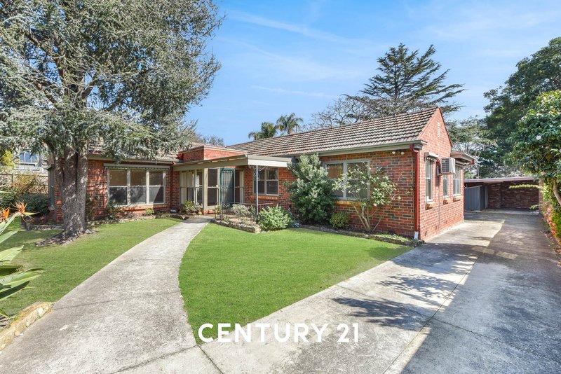 17 Hodder Street, Brighton East VIC 3187