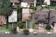 Photo - 17 Hunter Street, Fairfield NSW 2165 - Image 14