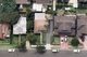 Photo - 17 Hunter Street, Fairfield NSW 2165 - Image 15