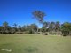 Photo - 17 Jamie Avenue, Curra QLD 4570 - Image 22