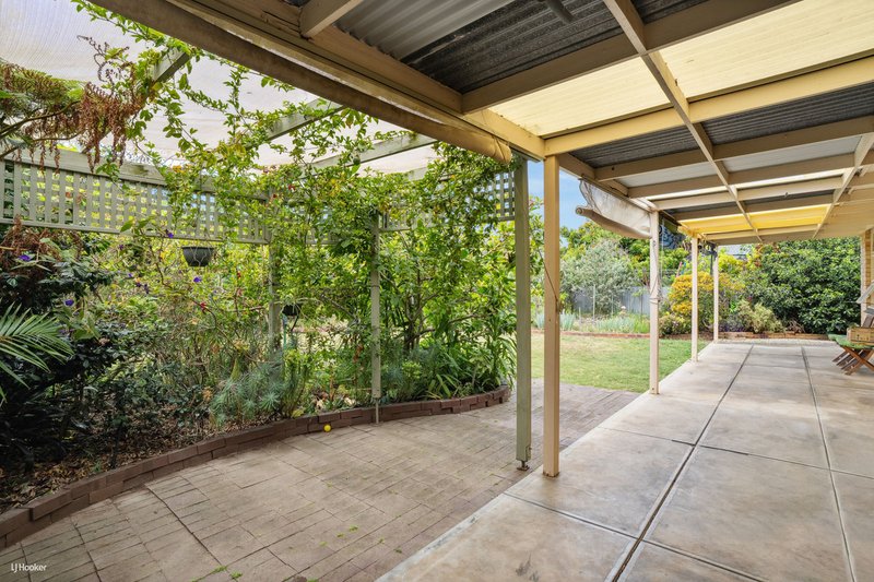 Photo - 17 Joan Avenue, Glengowrie SA 5044 - Image 10