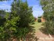 Photo - 17 Kerrani Place, Coutts Crossing NSW 2460 - Image 11