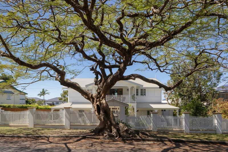 Photo - 17 Kinmond Avenue, Wavell Heights QLD 4012 - Image 3