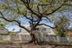 Photo - 17 Kinmond Avenue, Wavell Heights QLD 4012 - Image 3