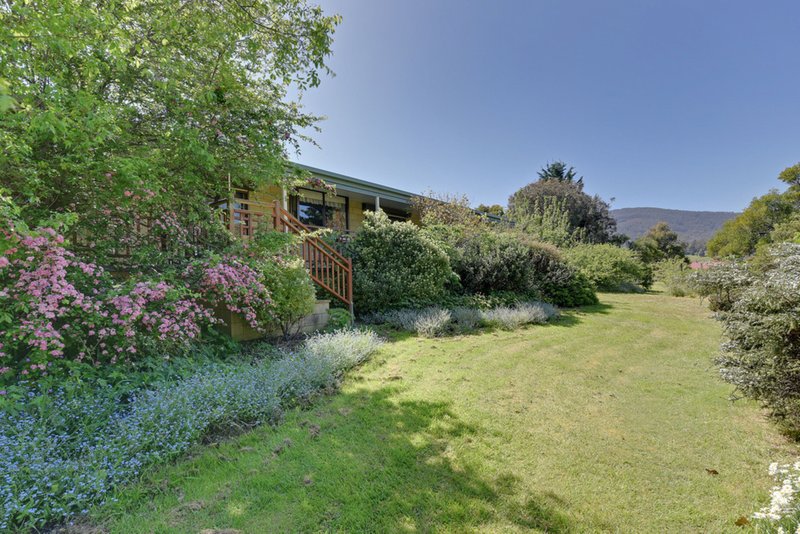 Photo - 17 Kormos Drive, Nubeena TAS 7184 - Image 20