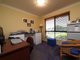 Photo - 17 Laceflower Crescent, Eatons Hill QLD 4037 - Image 16