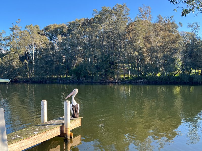 Photo - 17 Lake Street, Budgewoi NSW 2262 - Image 13
