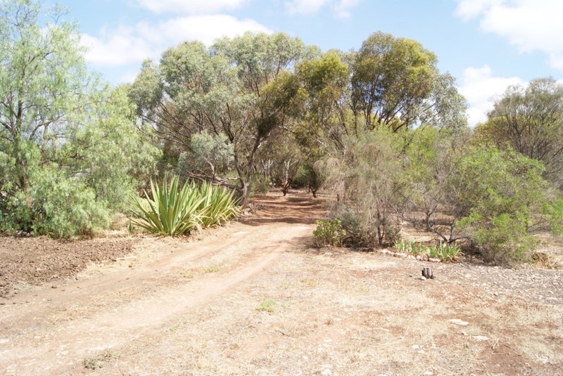 Photo - 17 Lange Road, Gawler Belt SA 5118 - Image 4