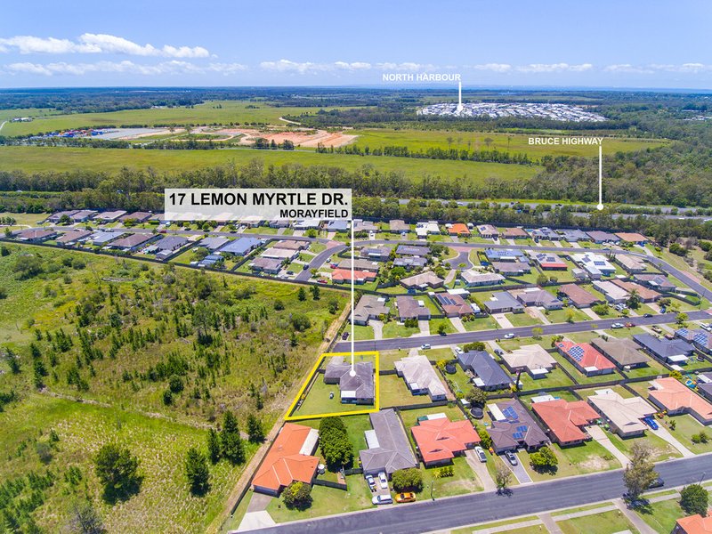 Photo - 17 Lemon Myrtle Drive, Morayfield QLD 4506 - Image 9