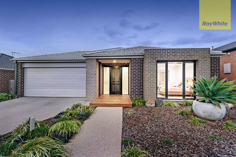 17 Leveque Loop, Craigieburn VIC 3064