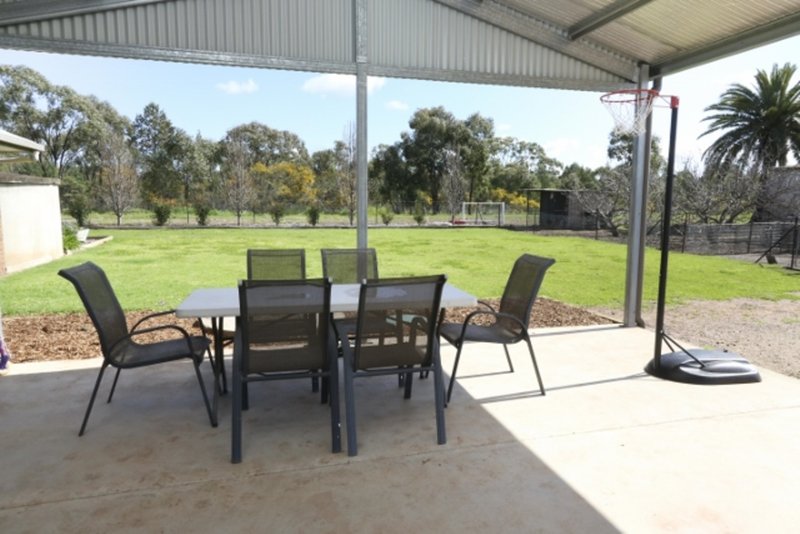 Photo - 17 Lewis Road, Leeton NSW 2705 - Image 16