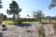 Photo - 17 Lewis Road, Leeton NSW 2705 - Image 19