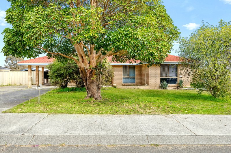Photo - 17 Littlefair Drive, Withers WA 6230 - Image 1