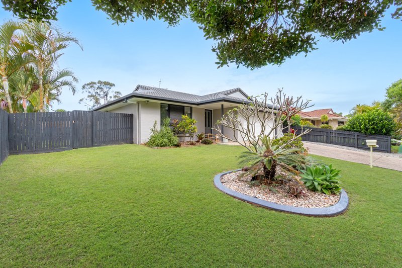 17 Livistona Crescent, Currimundi QLD 4551