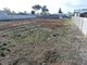 Photo - 17 (Lot 702) Devon Street, Clinton SA 5570 - Image 6