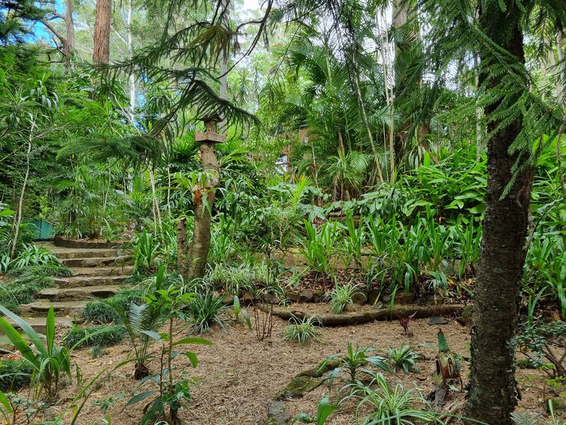 Photo - 17 Lucania Court, Tamborine Mountain QLD 4272 - Image 14