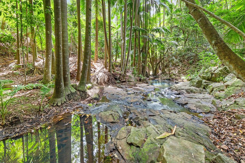 Photo - 17 Lucania Court, Tamborine Mountain QLD 4272 - Image 17