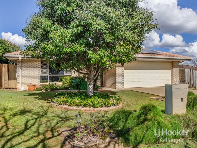 Photo - 17 Macarthur Drive, Kallangur QLD 4503 - Image 1