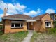 Photo - 17 Macartney Street, Reservoir VIC 3073 - Image 1