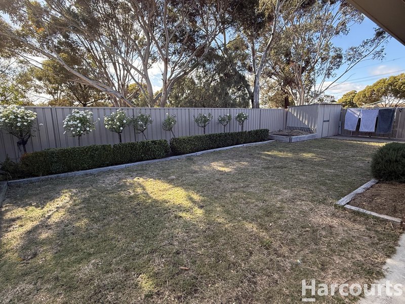 Photo - 17 Matthews Court, Horsham VIC 3400 - Image 14