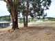 Photo - 17 Mcalpine Mews, Nannup WA 6275 - Image 3