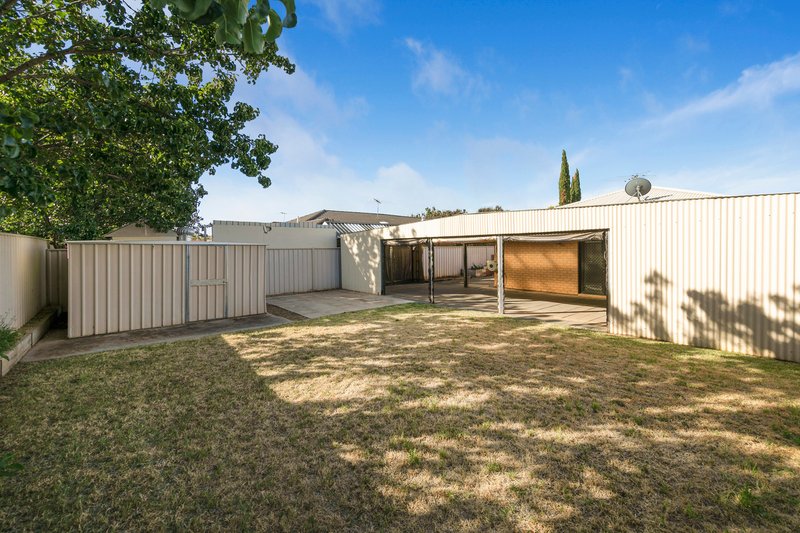 Photo - 17 Mcgonigal Drive, Willaston SA 5118 - Image 17