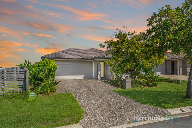 Photo - 17 Mckinlay Avenue, Redbank Plains QLD 4301 - Image