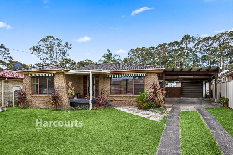 17 Melaleuca Avenue, Avondale NSW 2530