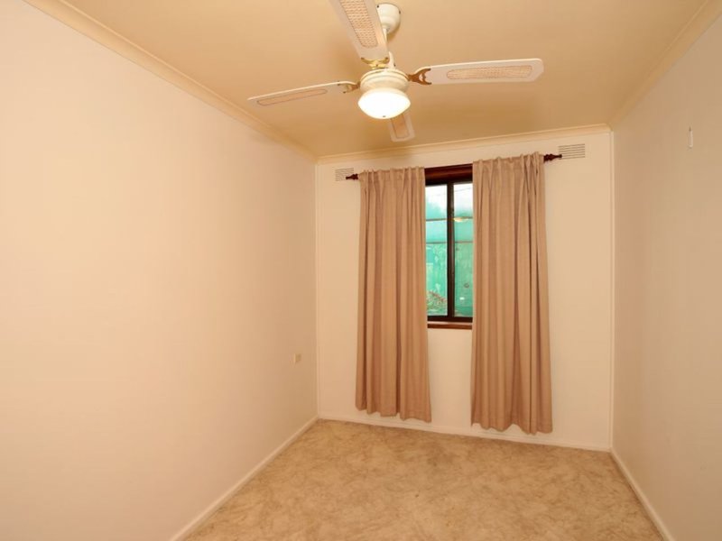 Photo - 17 Menzies Avenue, Kooringal NSW 2650 - Image 7