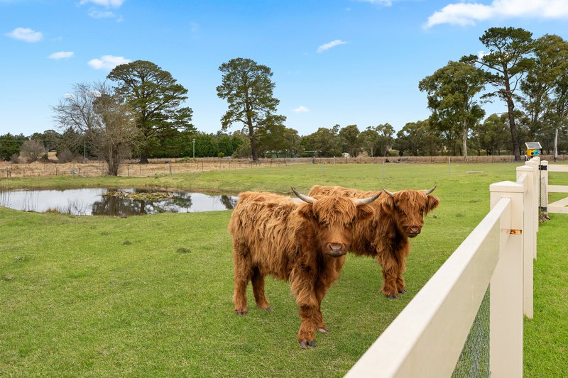 Photo - 17 Merino Road, Marulan NSW 2579 - Image 17