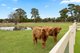 Photo - 17 Merino Road, Marulan NSW 2579 - Image 17