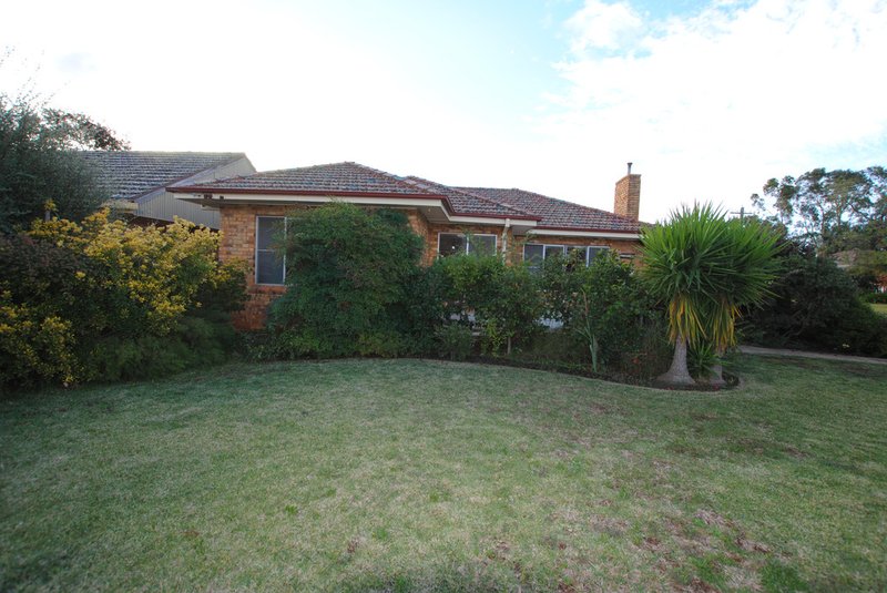 Photo - 17 Messner Street, Griffith NSW 2680 - Image 4